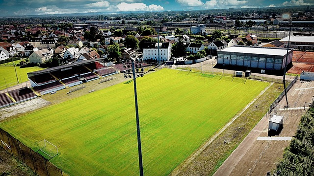 席爾瓦的生 席爾瓦的生