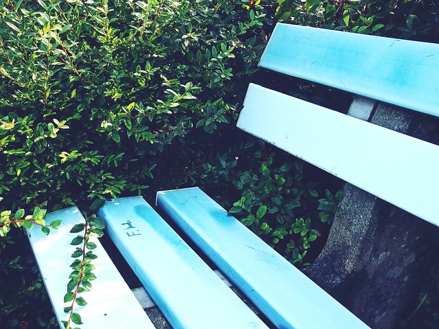 16强中有 16强中有