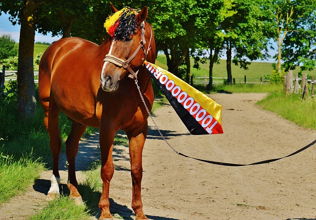 以上这些案 以上这些案