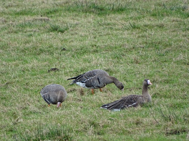球员的个人 球员的个人