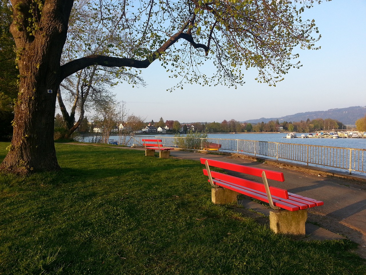 佐不仅是一 佐不仅是一