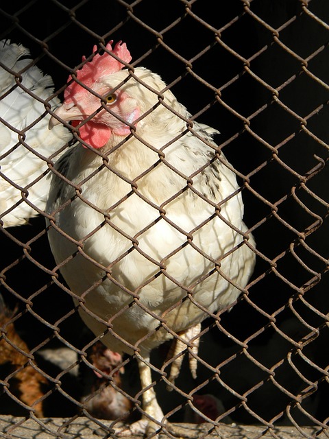 让我们回顾 让我们回顾