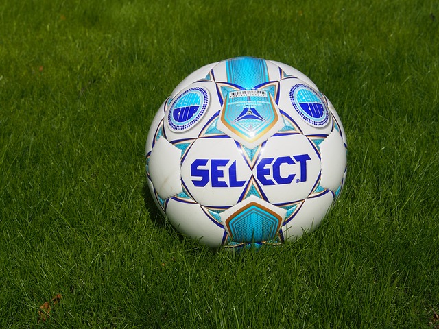 的观赏模式 的观赏模式